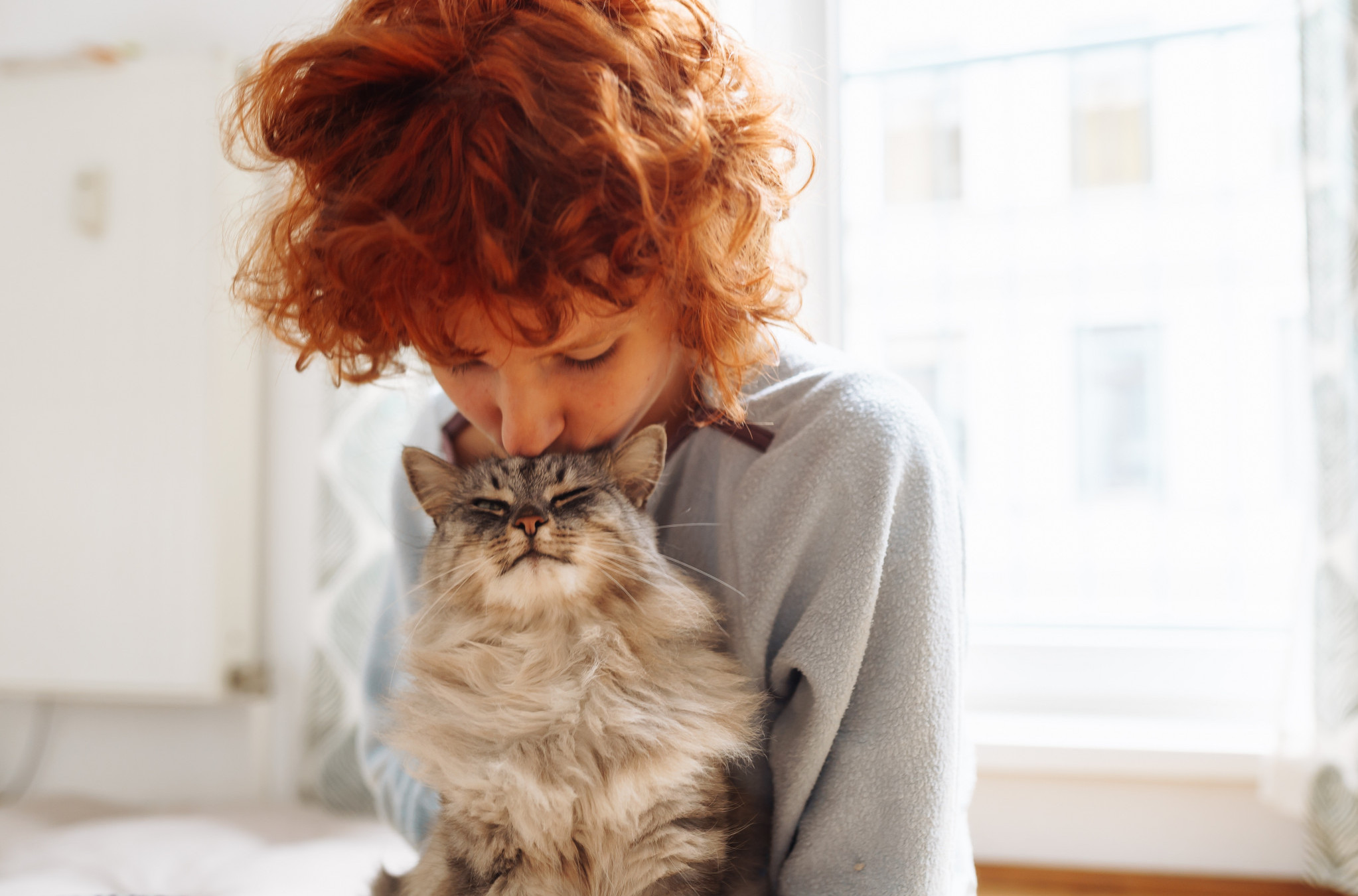 Hrana nije jedini kriterijum! Evo kako mačke biraju NAJDRAŽU osobu u kući