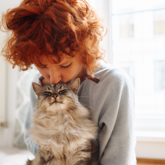 Hrana nije jedini kriterijum! Evo kako mačke biraju NAJDRAŽU osobu u kući