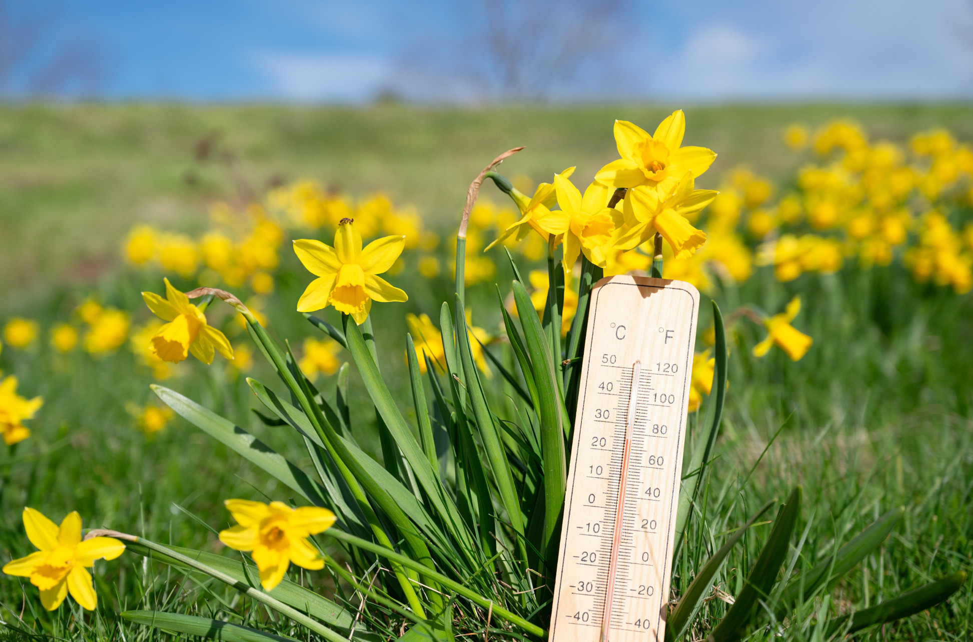 U Srbiji danas pretežno sunčano i toplije, a evo KADA možemo očekivati kišu