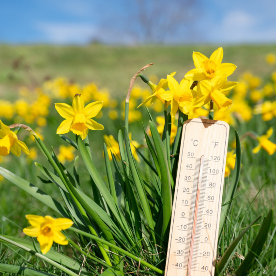 U Srbiji danas pretežno sunčano i toplije, a evo KADA možemo očekivati kišu
