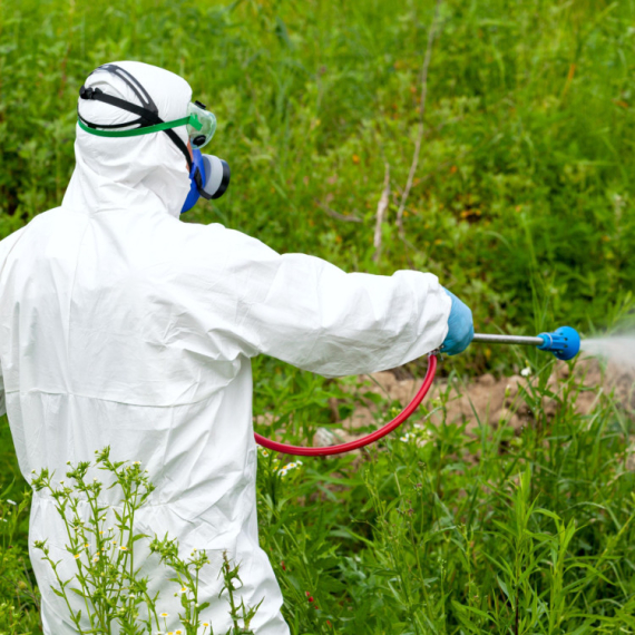 I danas akcija suzbijanja krpelja u Beogradu - Obuhvaćena i popularna izletišta