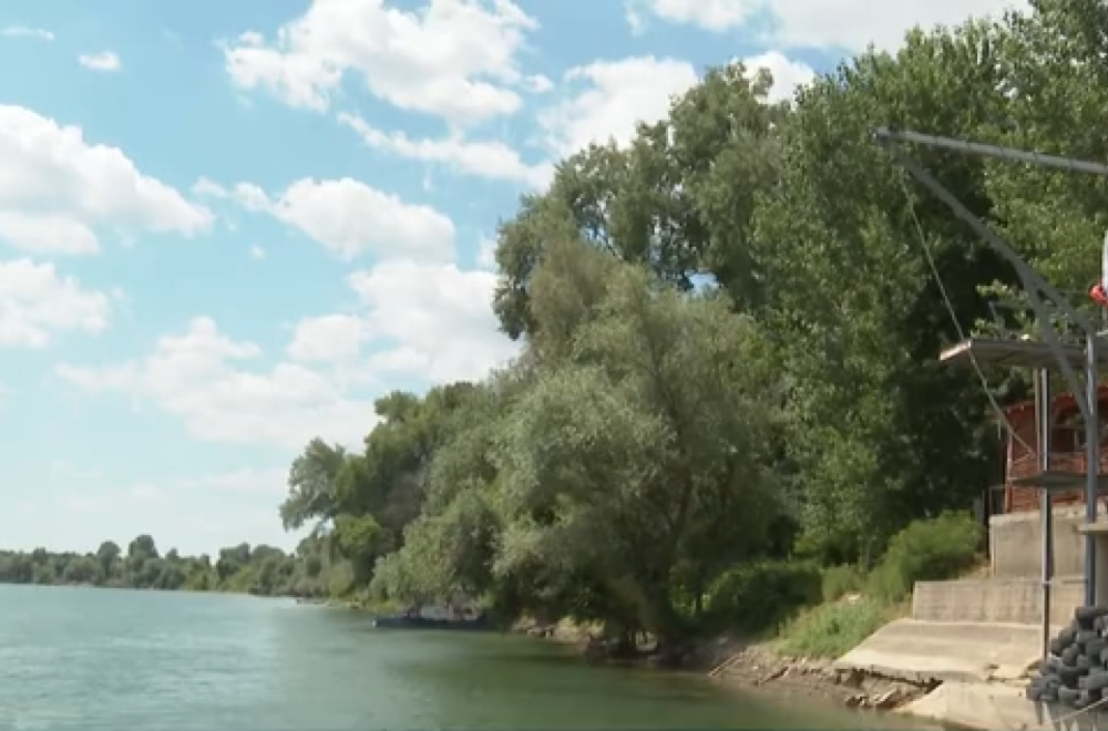 Kuda sa porodicom ako ne idete na more? Možda je TARZAN PLAŽA izbor za vas (VIDEO)