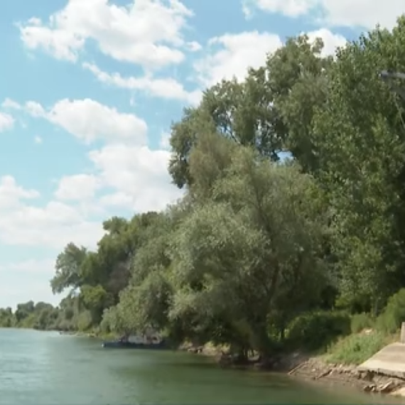 Kuda sa porodicom ako ne idete na more? Možda je TARZAN PLAŽA izbor za vas (VIDEO)