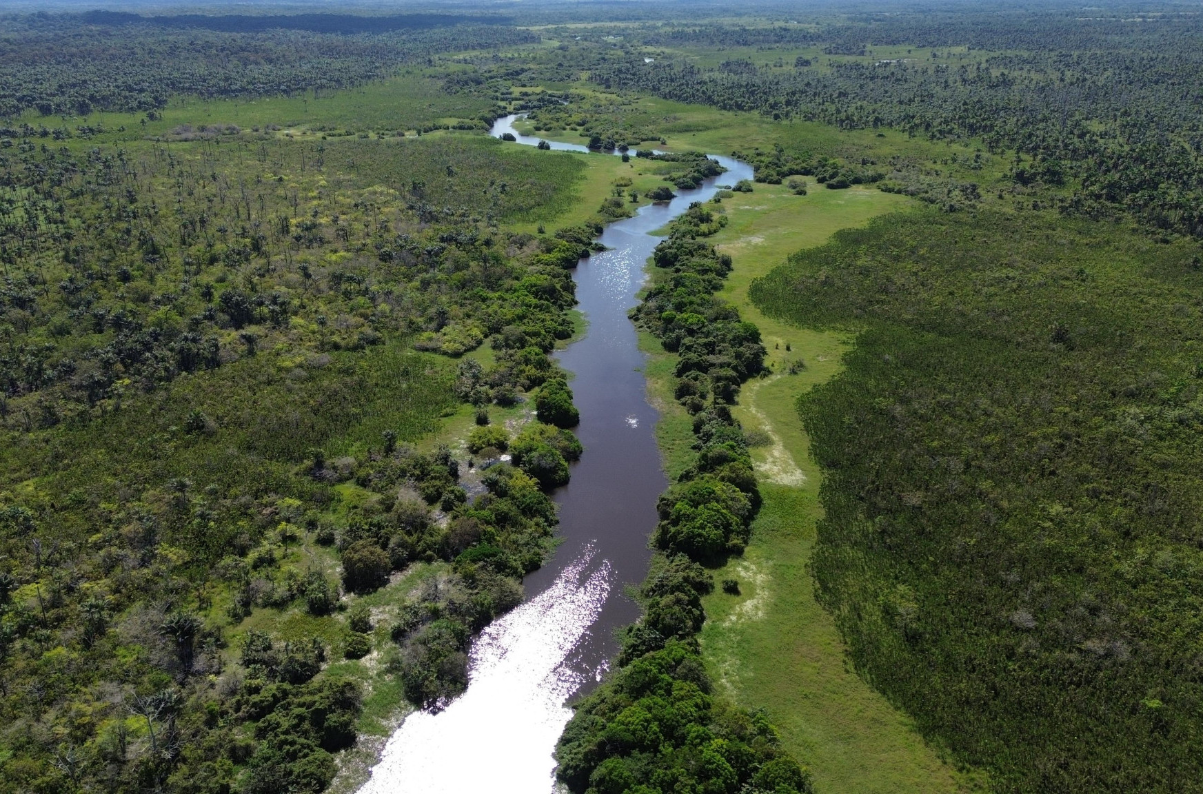 Otkriven skriveni svet ispod Amazonije: Stotine drevnih građevina izronile iz prašume
