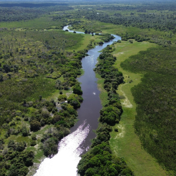 Otkriven skriveni svet ispod Amazonije: Stotine drevnih građevina izronile iz prašume