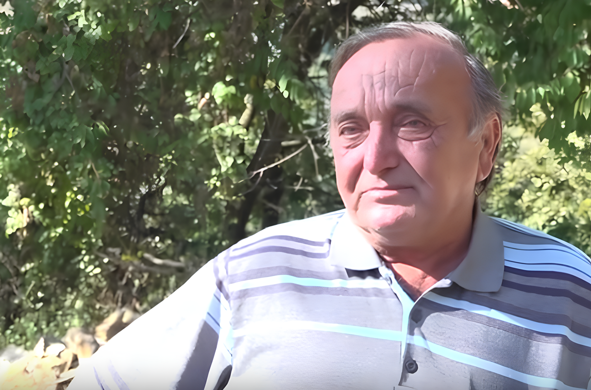 „Kao da je neko košnicu pustio s leđa na mene!“ Milorad preživeo 30 UBODA STRŠLJENOVA i nije mu ništa bilo