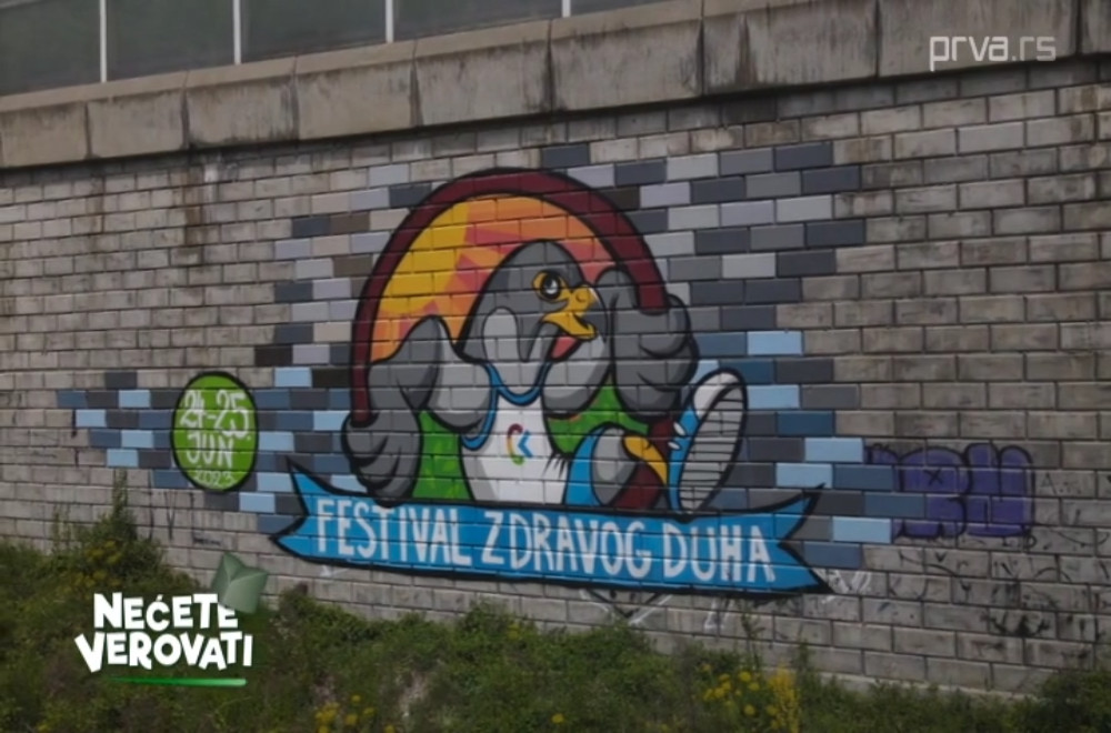 Festival zdravog duha