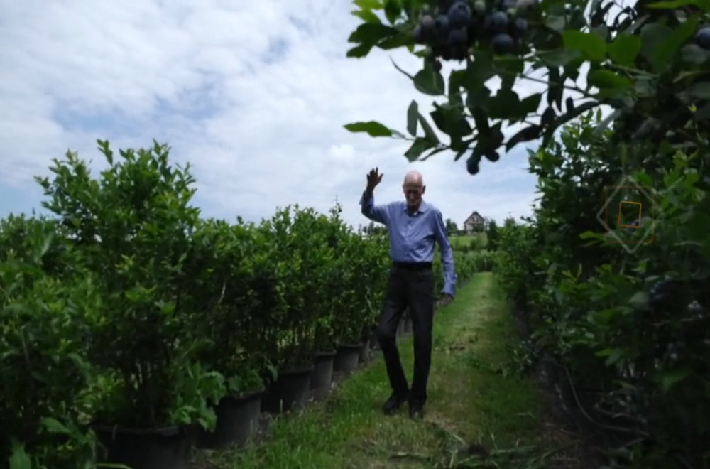 Gledaćete - 22.06.2024.