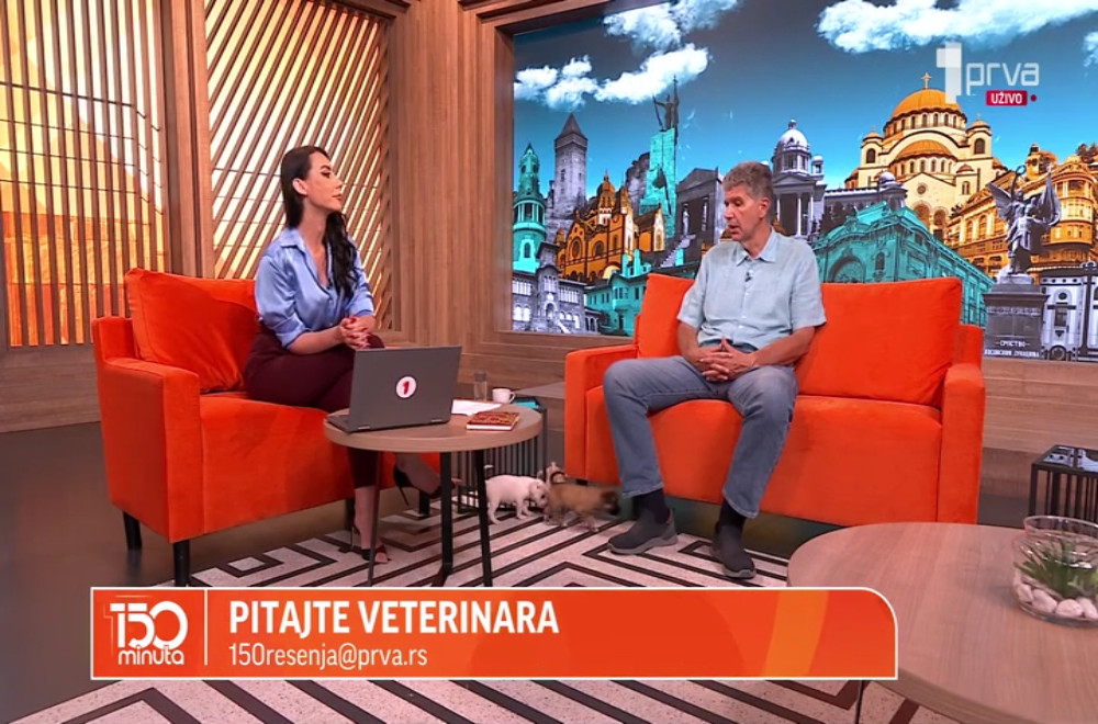 Kako koze prenose kugu i da li je ovo stanje opasno za ljude?