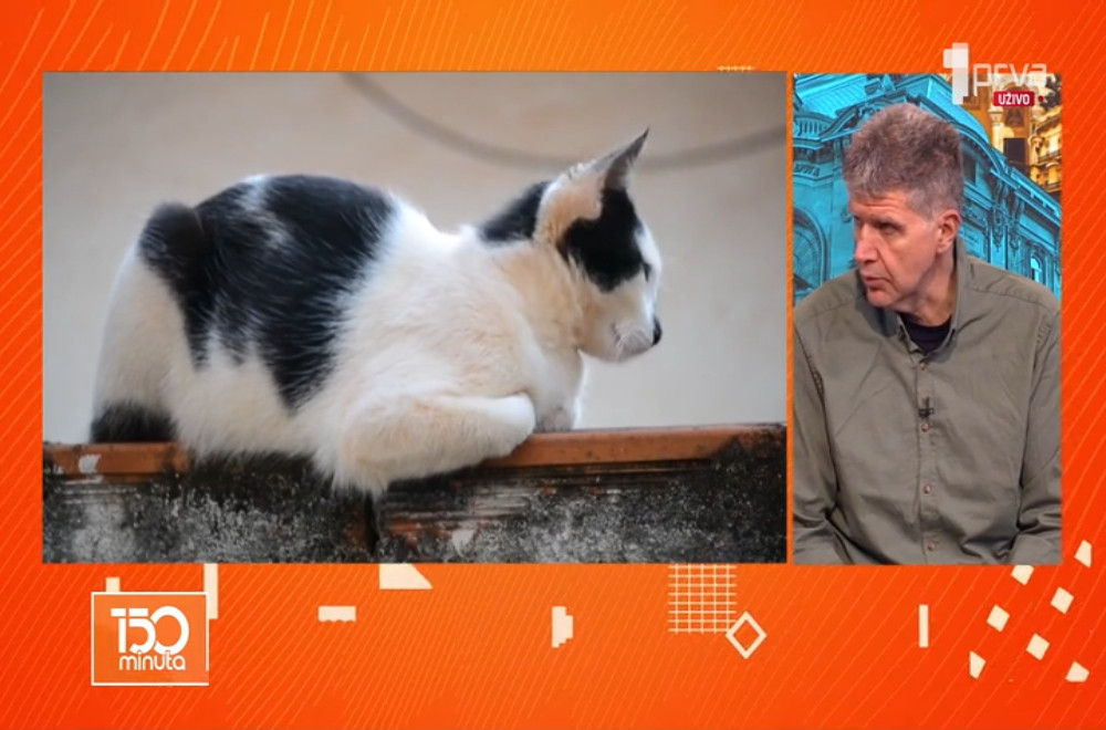 Veterinar Vlada Terzin odgovara na sva vaša pitanja
