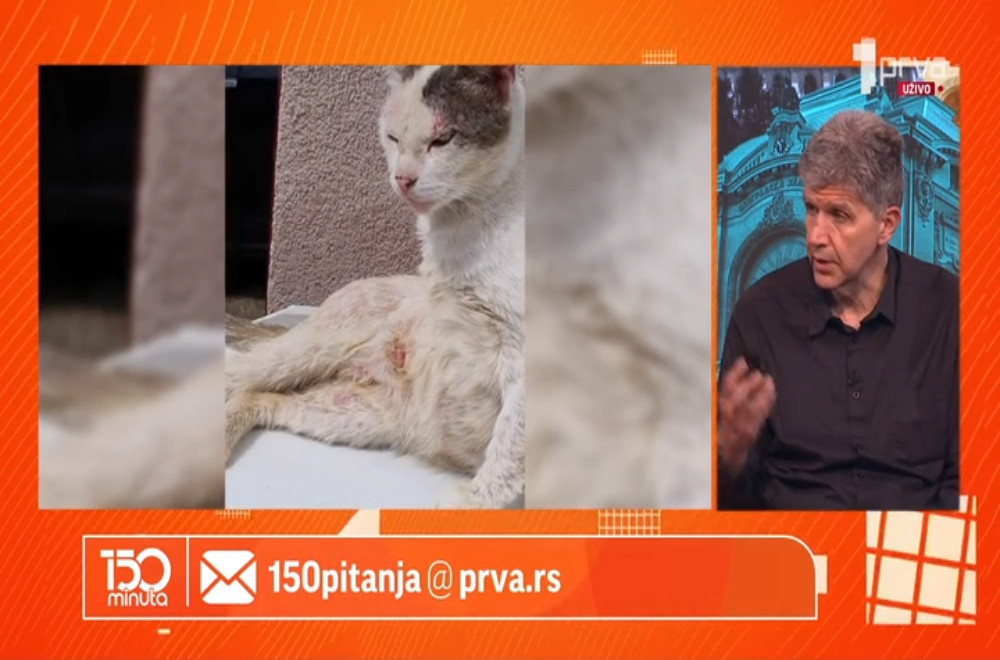 Veterinar odgovara na vaša pitanja
