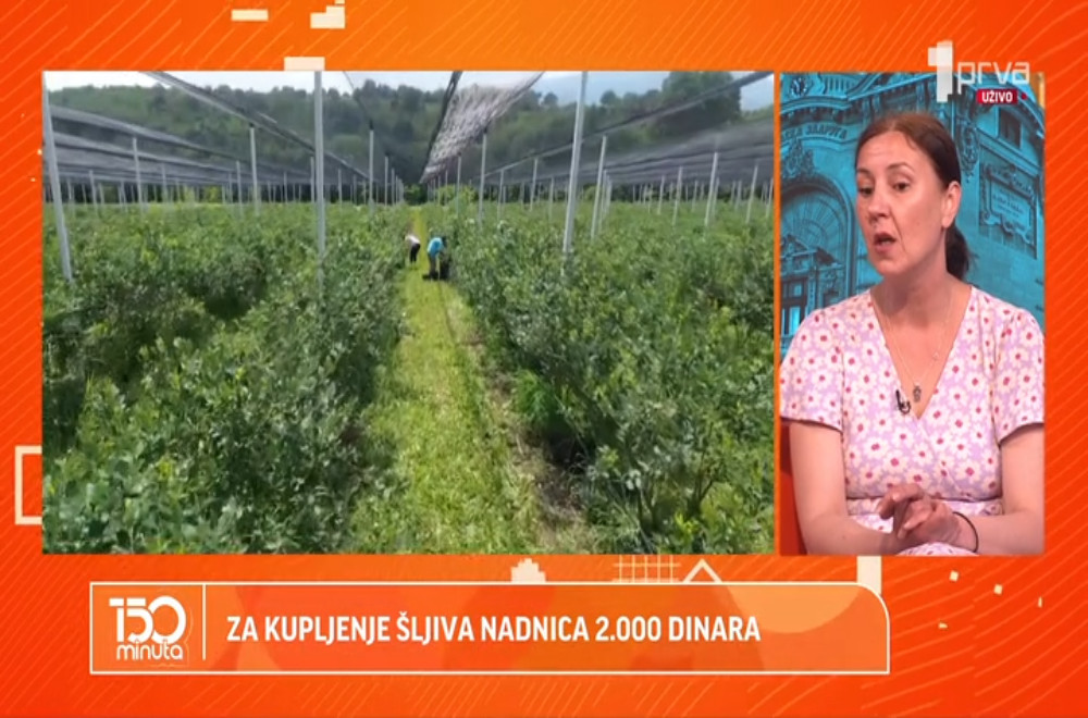 Zbog čega mladi ne žele da se bave poslovima na polju?