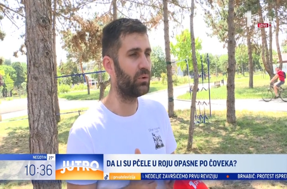 Koga bi trebalo da pozovemo ukoliko primetimo roj pčela?
