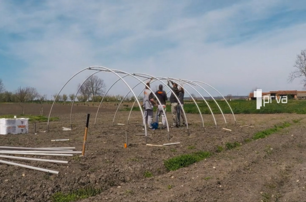 Radna akcija sa Tamarom - NOVA SEZONA i nove kuće širom Vojvodine!