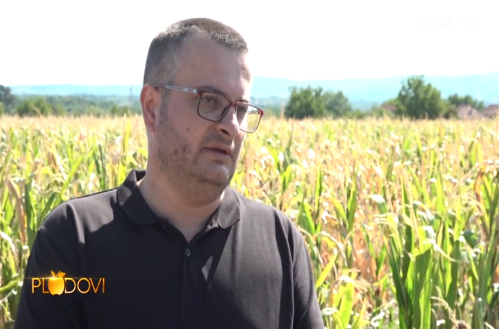 Plodovi - 30.08.2025.