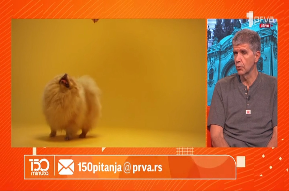 Krave dožive stres kada se razvoje od svojih prijateljica - mit ili istina?