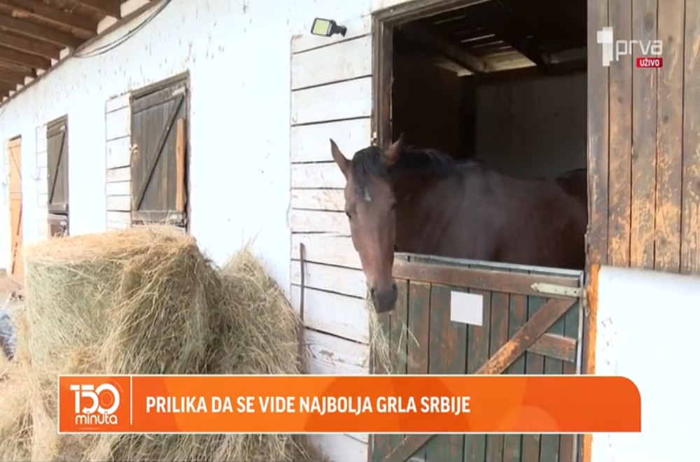 Kada se održava Galopski trkački dan?