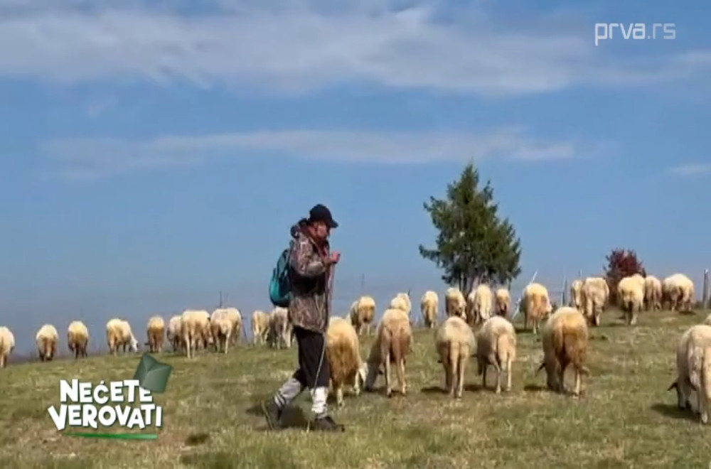 Kora hleba, zrno čemera