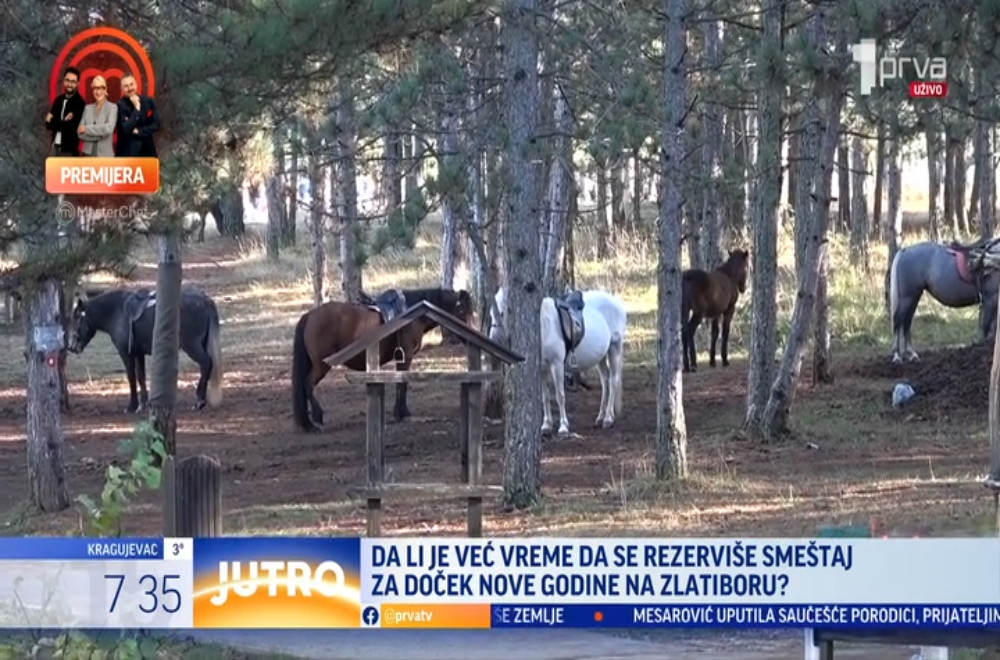 Da li je već vreme da se rezerviše smeštaj na Zlatiboru za novogodišnje praznike?