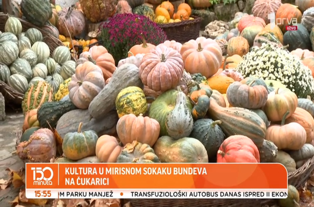 Manifestacija bundeva u Beogradu