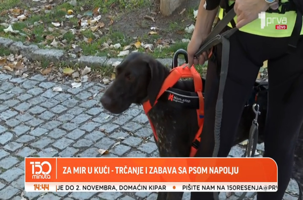 Koji je najbolji način da svog ljubimca izmorite, a ujedno i vi odradite svoj trening?