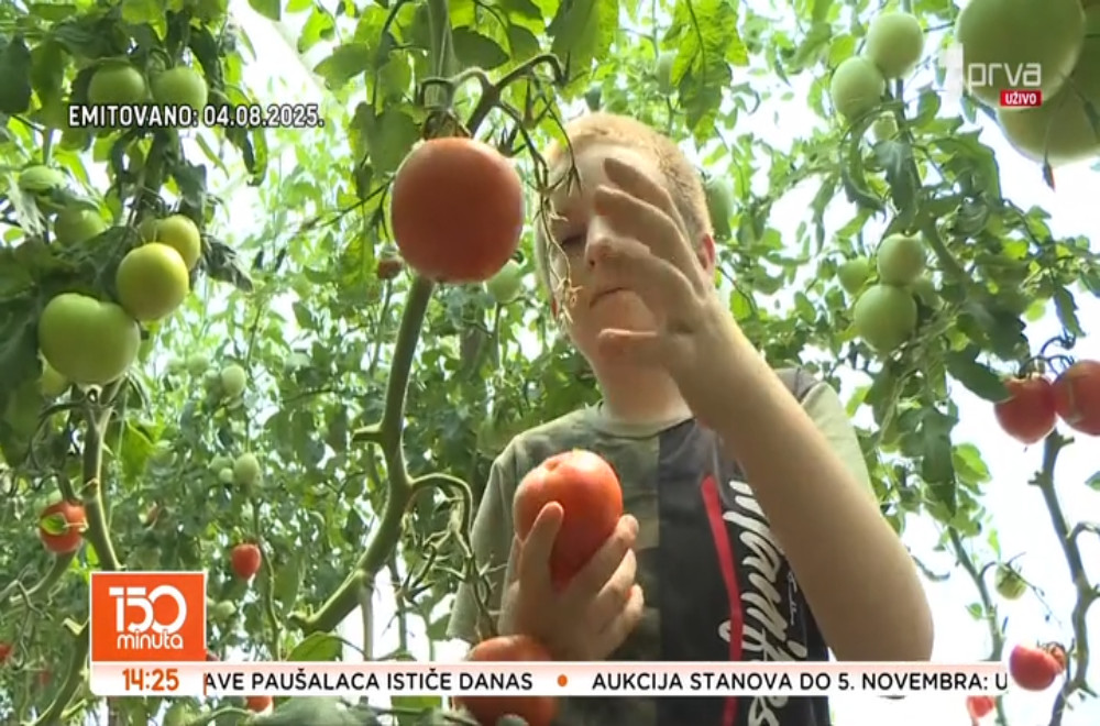 Najmlađi poljoprivrednik u Milivi