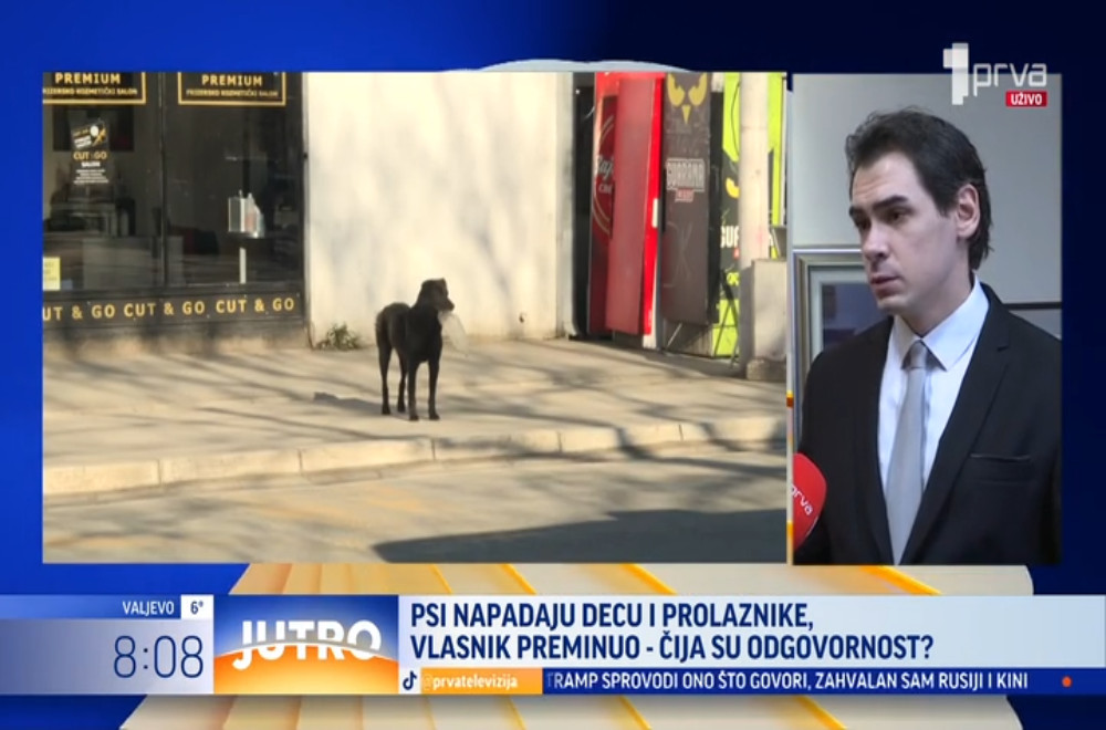 Čija su odgovornost psi koji napadaju prolaznike?