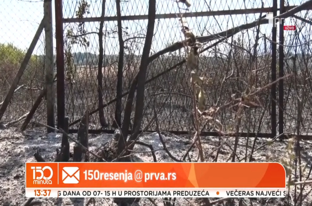 Ko će nadoknaditi štetu požara koji su zahvatili Srbiju tokom letnjih meseci?