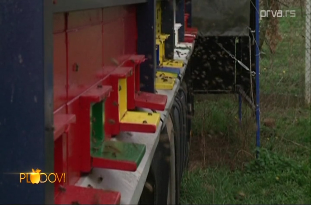 Plodovi - 08.11.2025.