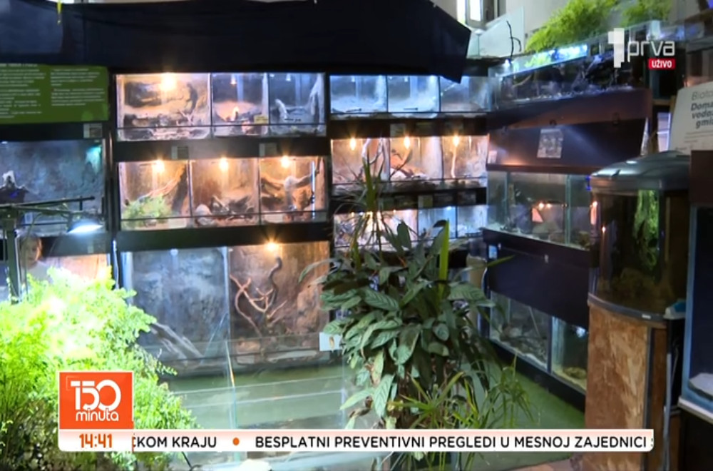 Javni akvarijum i tropikarijum organizuje “Magic show”