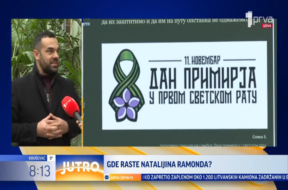 Zbog čega za Natalijinu ramondu kažemo da je cvet feniks i gde raste?