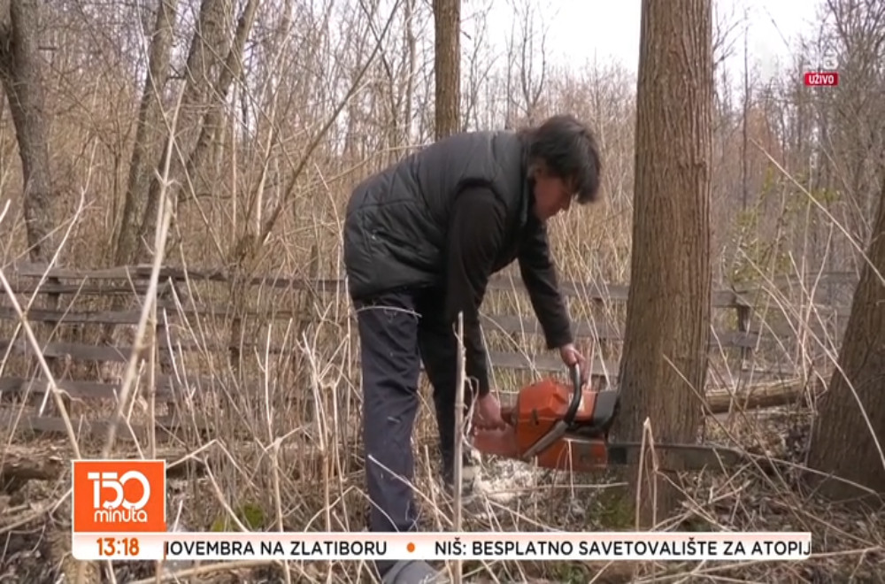 Gordana važi za najboljeg drvoseču u Toplici