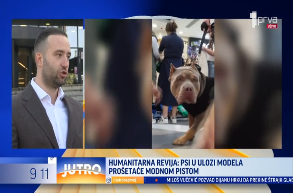 Humanitarna revija: Psi u ulozi modela prošetaće modnom pistom