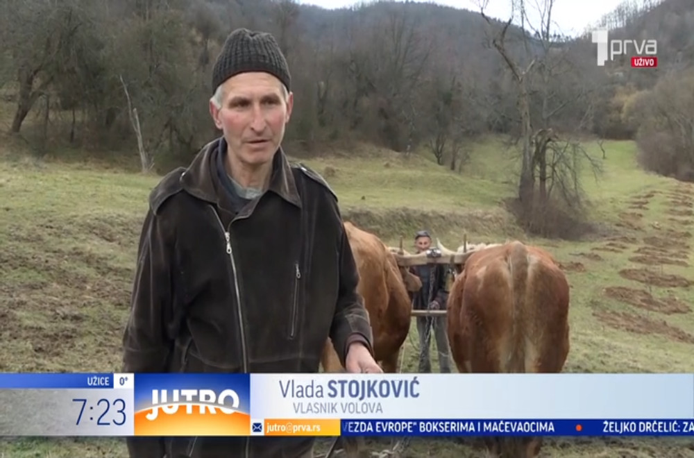 Ovaj vredan domaćin zemlju obrađuje ručno i uz pomoć jakih životinja