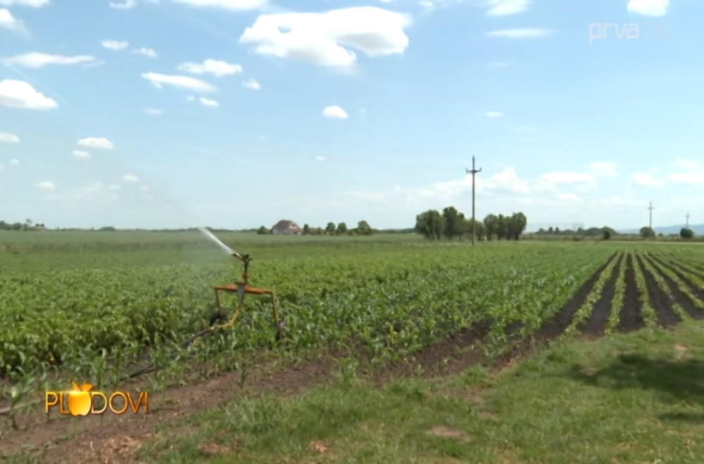 Plodovi - 22.11.2025.