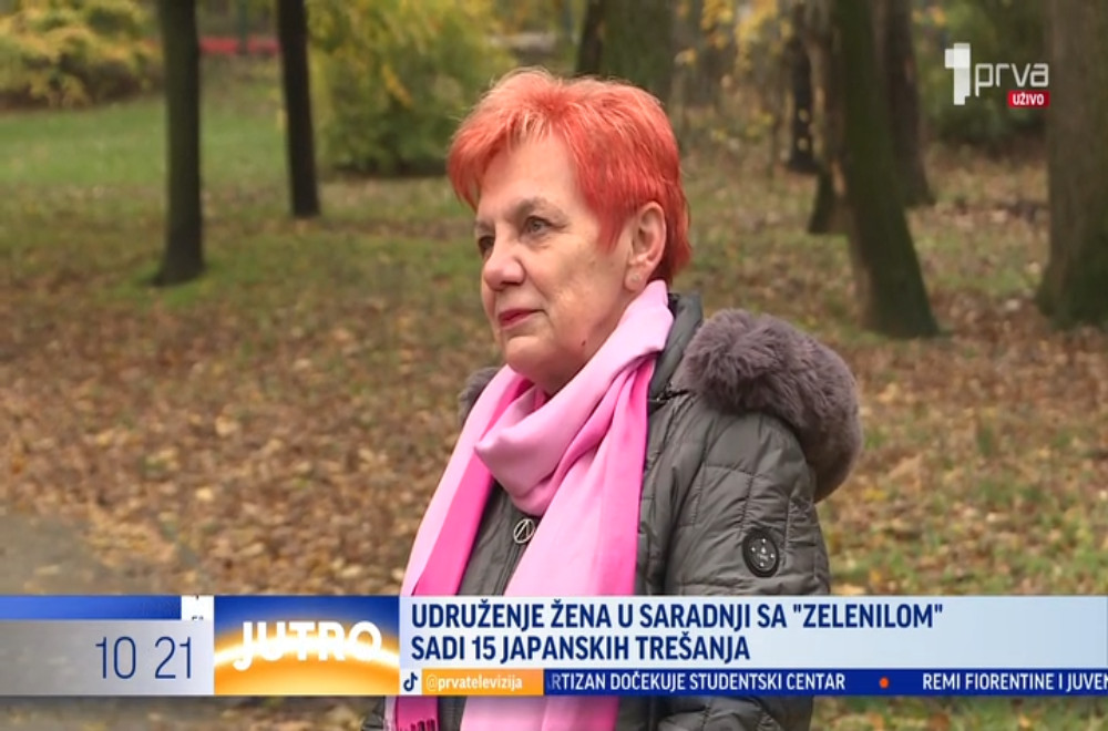 Udruženje žena u saradnji sa "Zelenilom" sadi 15 japanskih trešanja