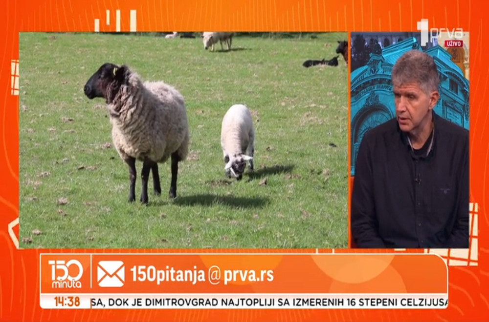 Veterinar Vladimir Terzin odgovara na pitanja gledalaca