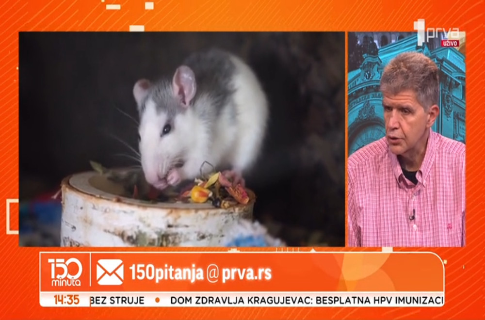 Veterinar Vladimir Terzin odgovara na pitanja gledalaca
