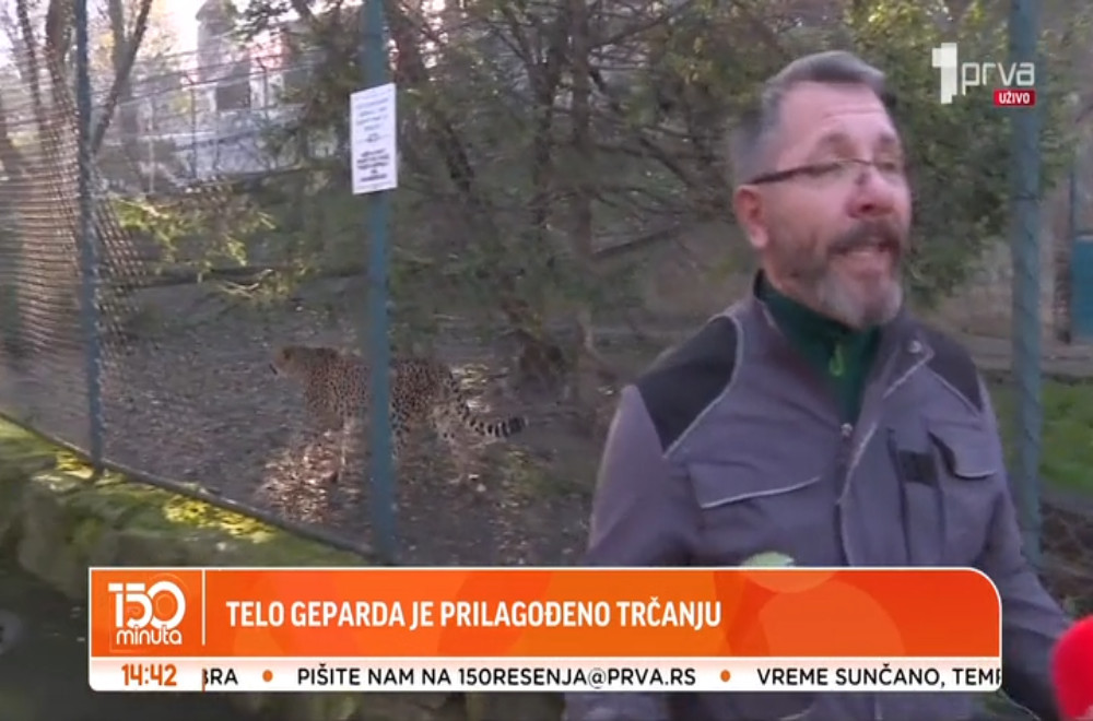 Znate li koja životinja može dostići brzinu preko 100 km na čas?