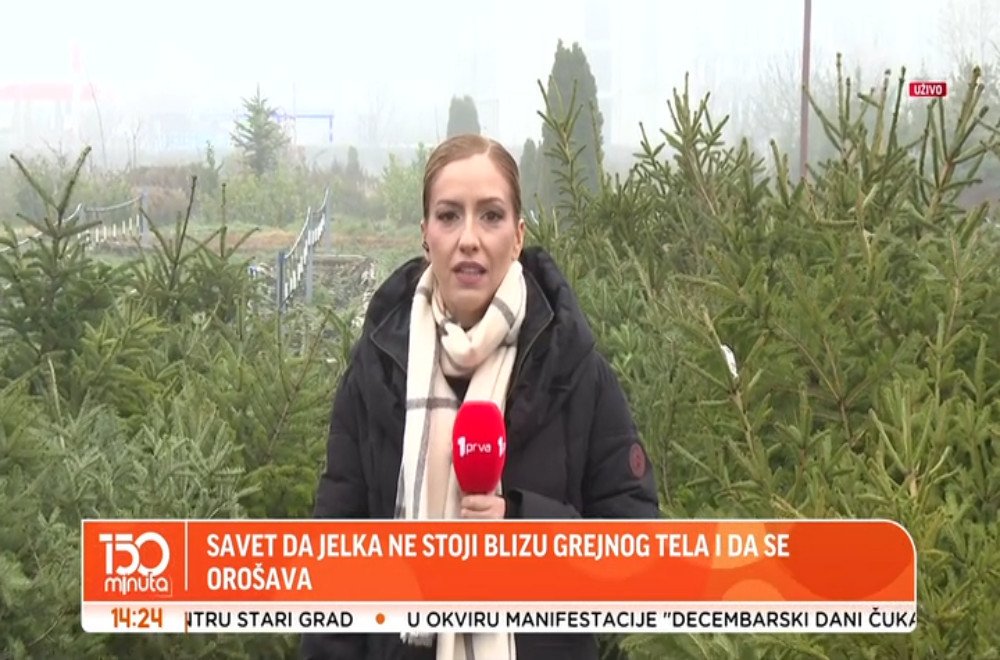 „Zelenilo Beograd“ počelo prodaju jelki sa busenom: Koliko koštaju?