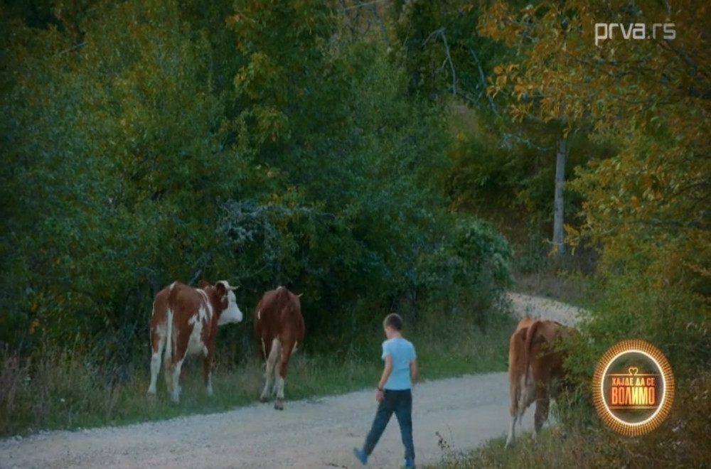 Hajde da se volimo - 16.12.2025: Samohrani otac, vulkanizerka, majstor Peka i humanitarka...