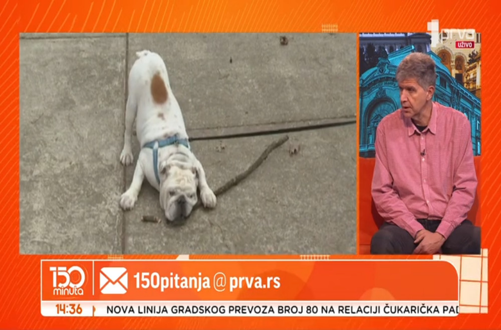 Da li dabrovi imaju prozirne kapke?