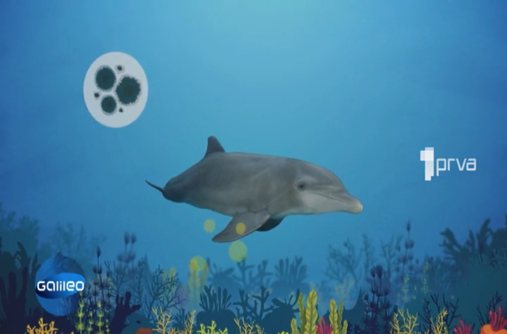 Gledaćete - 27.12.2025.