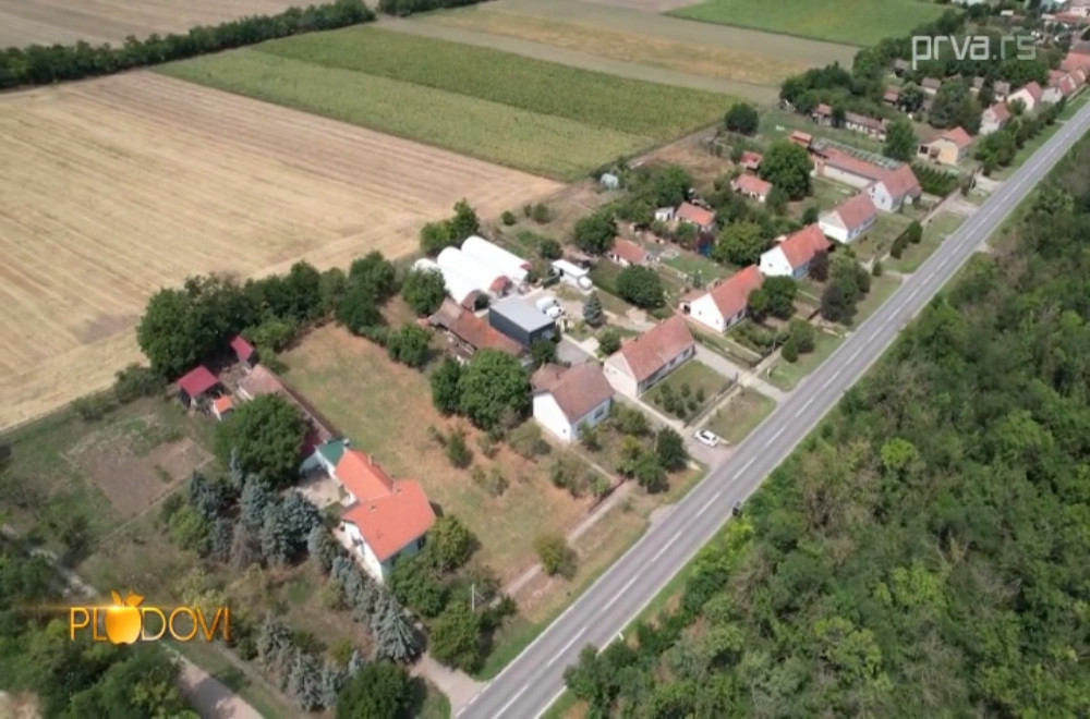 Plodovi - 27.12.2025.