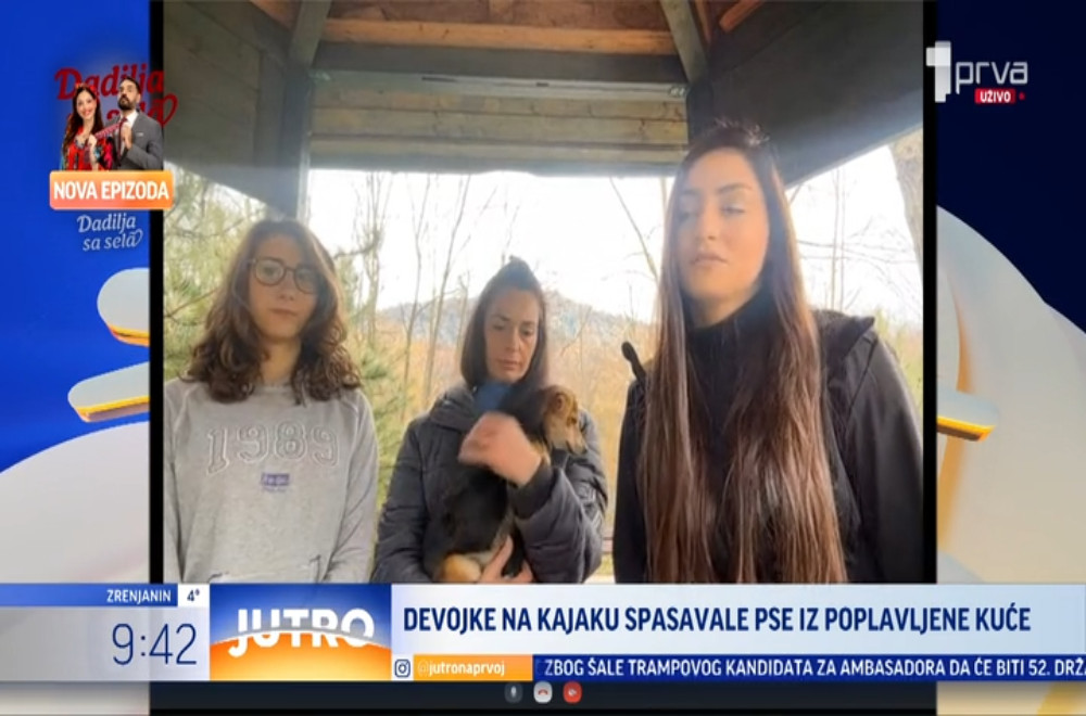 Upoznajte TRI HEROINE koje su na kajaku uspele da spasu više pasa iz poplavljene kuće!