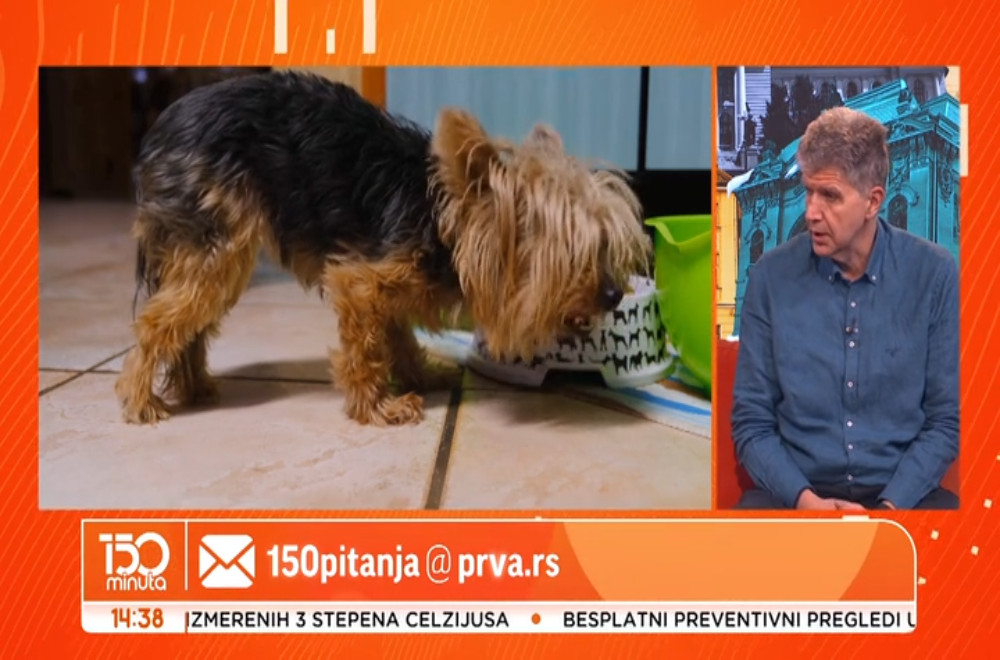 Medvedi se boje muzike, a komarci imaju zube: Šta je mit, a šta istina?