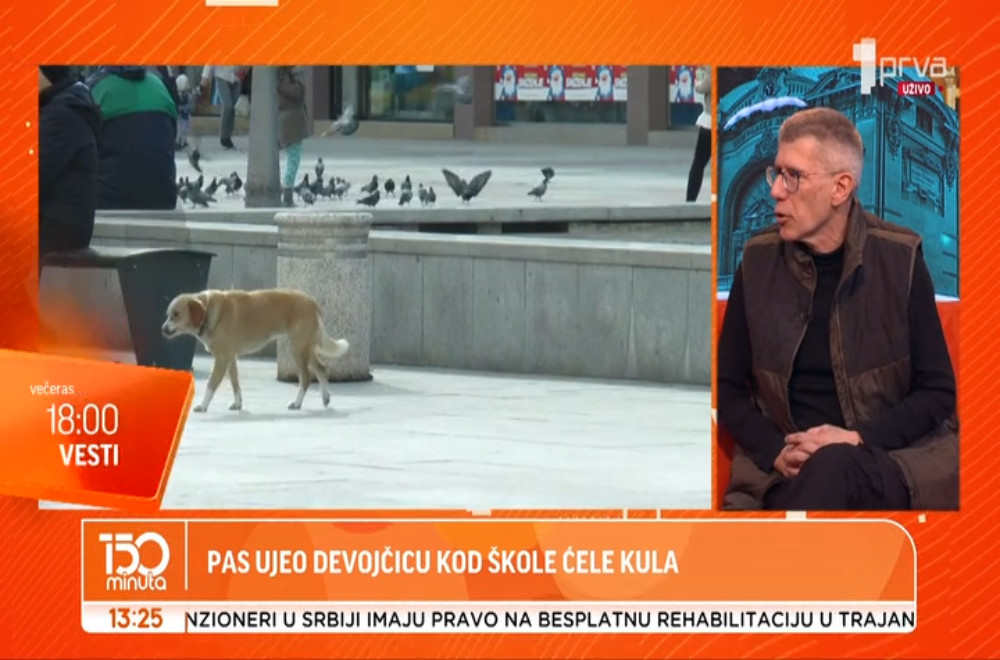 Kako dete treba da se ponaša ako mu prilazi pas bez povoca?