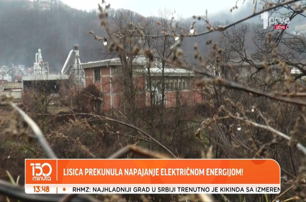 Lisica prekinula napajanje električnom energijom!