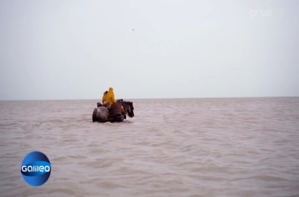 Galileo - 31.01.2026.