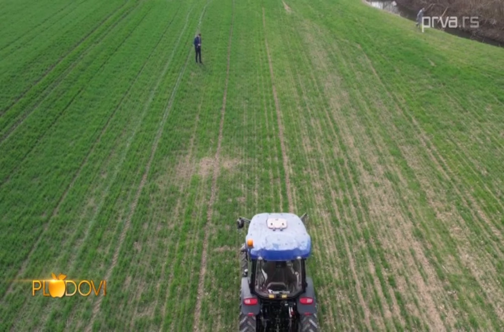 Plodovi - 31.01.2026.